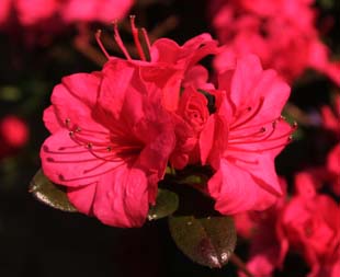 IMG_0058
