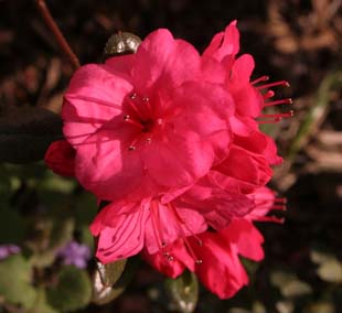IMG_0063